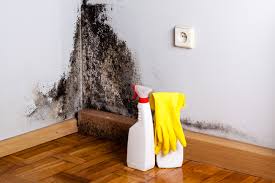 Best Mold Prevention Services  in Oronoque, CT